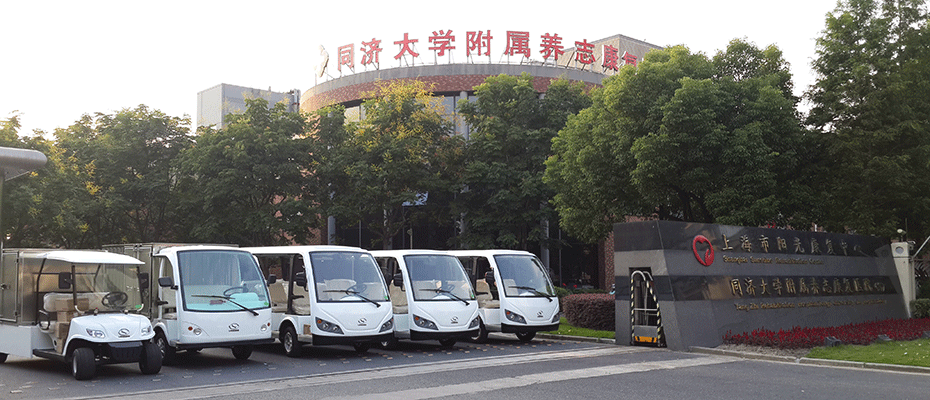 上海阳光康复中心电动摆渡车供应商
