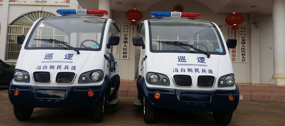 云龙镇电动巡查车供应商