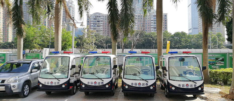 电动巡查车